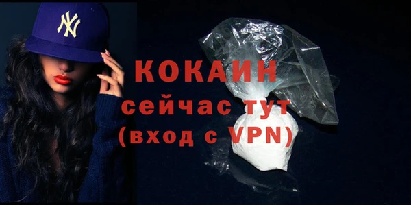твердый Арсеньев