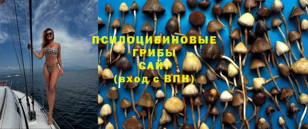 соль ск Аркадак